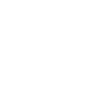 AIR Institute